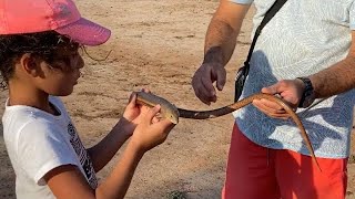 OLUKLU 🦎 KERTENKELE YAKALADIK YILAN GİBİ 🐍 interesting lizard