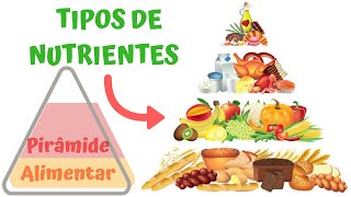 AULA 54: Pirâmide Alimentar - Tipos de Nutrientes