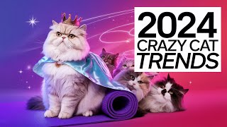 Craziest cat trends ever 😂 You need to watch this 😝