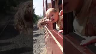 World’s first Solar Powered Train!! #travel #family