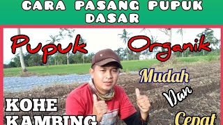 Cara Mudah pupuk dasar organik kohe kambing | # 1