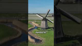 The Inspiring Dutch Myths #shortvideo #shorts #short