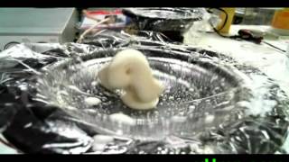 Dancing Oobleck (Non-Newtonian Fluid on a Speaker)