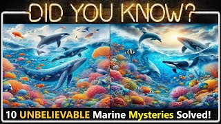 Dive into the Deep: Unbelievable Facts About Marine Life You Never Knew! (Imi Fun Facts)