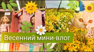 Мини-влог: 🌞 весна, скучные кукло-полки, котики и лепка 🌿