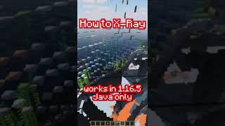 How to XRAY in Minecraft! (Without cheats)