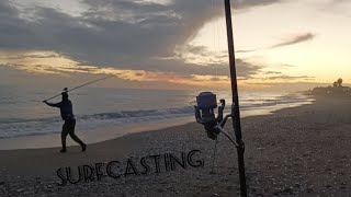 ¡ SURFCASTING nocturno ! en busca de DEPREDADOR captura de HERRERA Y BESUGO