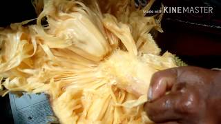 What is JackFruit and How to Eat / taste the Jackfruit / How to open a jackfruit