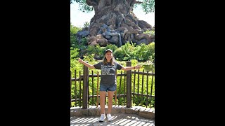 Rides at Disney Animal Kingdom| Epcot to check out Medicare Lounge in Morocco