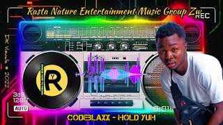 Codeblax - Hold Yuh (Visualizer) By Dkae Weku Dangerzone 2022 Zimdancehall