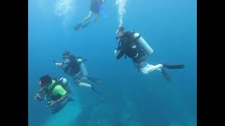 Abbate Family Scuba 7th Dive 60 Feet Jamaica