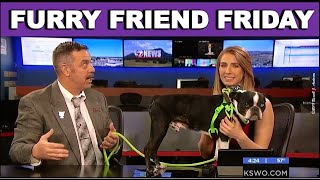 Furry Friend Friday, meet "OREO," our Pet of the Week, 24 JAN 2020