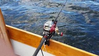 Daiwa Seaborg 500mj 2019 model.