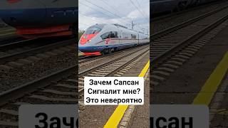 Зачем Сапсан Сигналит мне Это невероятно