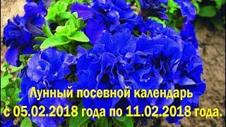 Лунный посевной календарь с 05.02.2018 года по 11.02.2018 года.