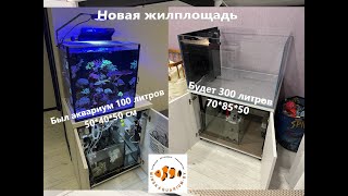 Новая жилплощадь. Морской аквариум 300 литров вместо 100.