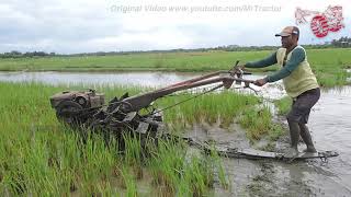 Flattening The Old Rice Field Using A Hand Tractor