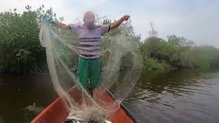 pescamos Una multitud de Peces 😱