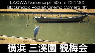 横浜 三溪園 観梅会 | BMPCC 4K | LAOWA Nanomorph 50mm T2.4 1.5X Anamorphic Super35