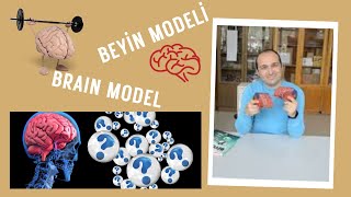 BEYİN MODELİ Yapımı Make a Brain Model DIY İnsanFizyolojisi Lise ve Ortaokul Deneyleri Kurtuluş ATLI