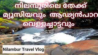 Nilambur Teak Museum And Andynpara Water Falls nilambur teak museum | vlog | Teak Museum