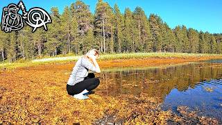 Южане впервые на Севере | Путешествие 20 дней |2| Красная вода