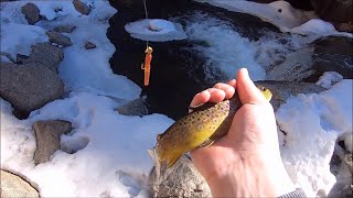 Middle Boulder Creek Trout Fishing!!