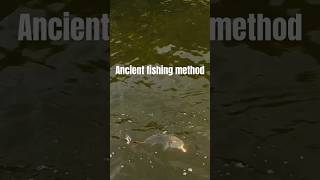 I can’t believe this ancient fishing method worked #fishing #florida #fish