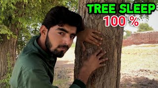 ASMR || TREE MASSAGE NO EDIT REALAXING |ASMR RELAX DEEP SLEEP MASSAGE TREE |OUTDOOR [ NO TALKING]