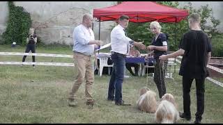 #dog #show #oradea #romania #pets #pet