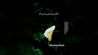 Allah Say Mangu Insanu Say Nai | Islamic Status | Dr Israr Ahmad | Khoobsurat Batain | #shorts