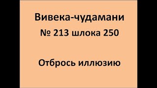 ВивекаЧудамани курс Свамини Видьянанды Сарасвати 213 шлока 250 Отбрось иллюзию