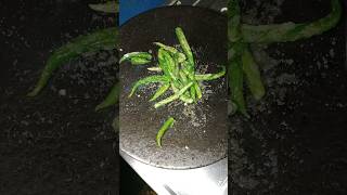 FRIED MIRCHI RECIPE (must try recipe )👍 #viralvideo #shorts #youtubeshorts #mirchi #recipe#subscribe