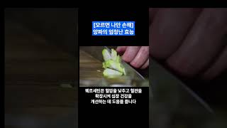 양파의 엄청난 효능 [모르면 나만 손해]