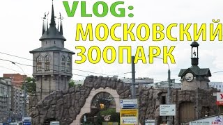 VLOG: МОСКОВСКИЙ ЗООПАРК. ВЛОГ: ИНВАЛИД КОЛЯСОЧНИК В МОСКОВСКОМ ЗООПАРКЕ