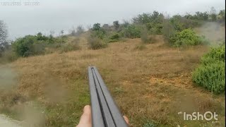 Κυνήγι Λαγού στην Ροδόπη(segugio italiano)Hare hunting in Greece 🐇🐇🐇🇬🇷🇬🇷