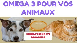 Oméga-3 pour Animaux : Indications et Dosages