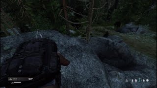 Enemies retreat dayz endgame