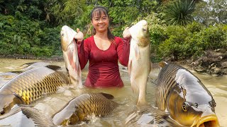 Harvest Fish In The Pond Goes to Market Sell - Live With Nature | Tiểu Vân Daily Life