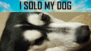 I SOLD MY DOG (2017 April Fools Video)