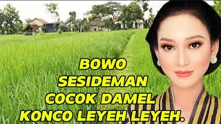 BOWO SESIDEMAN JIAN COCOK DAMEL JAMPI SAYAH.