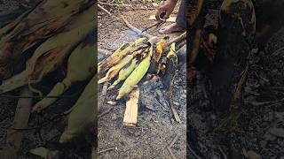 village vibes #corn #village #yadgarpalle #vidhyavlog's #telugu #vlog #ytshorts