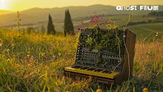 Serene Fields: Relaxing Organic Soundscapes [EXPERIMENTAL AMBIENT MUSIC 1 Hour]