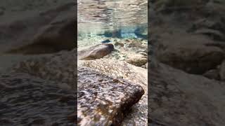 Soothing sounds of a mountain stream while hiking through the alps #austrianalps #tirol #nature