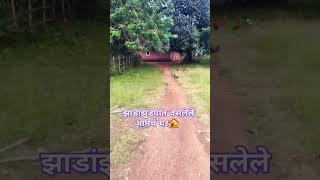 💞आमचं घर 🏠🎋#shorts #youtubeshorts #kokan #kokancluture #kokanatilghar #shortvideo