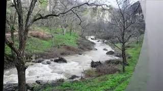 Şu Akkuş'un Gürgenleri