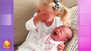 Fun And Fails Baby And Siblings Moments - Best Reactions