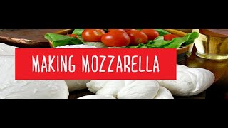 Making 30 Min Mozzarella