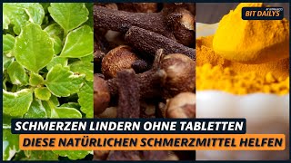 Schmerzen lindern ohne Tabletten: Diese natürlichen Schmerzmittel helfen wirklich