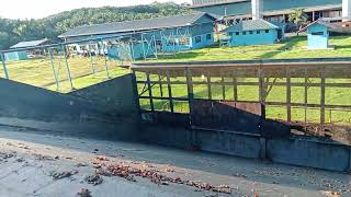 suasana pagi di pabrik pengolahan kelapa sawit PT AWL kalteng. #sawit